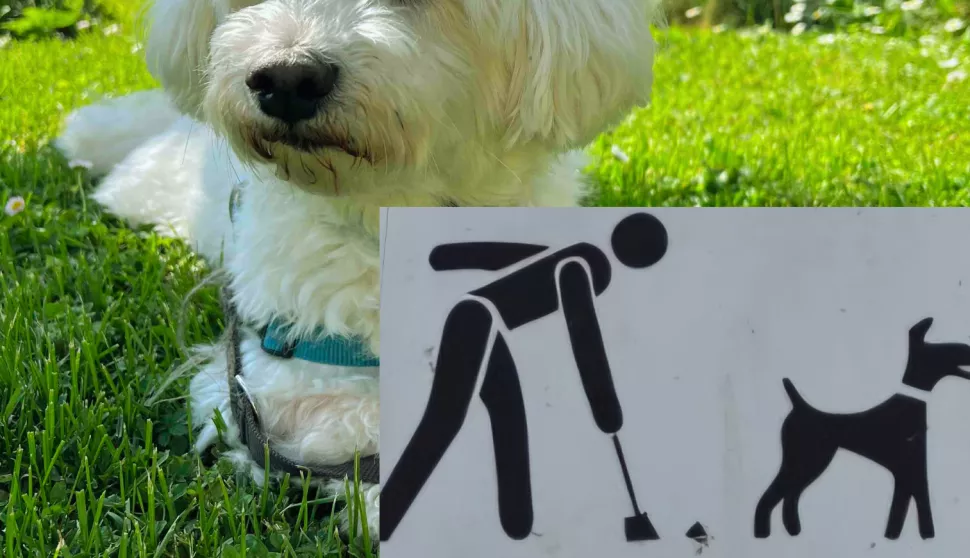 Nogometni teren i dječja igrališta nisu mjesta za šetnju pasa.našicesrpanj 2025.