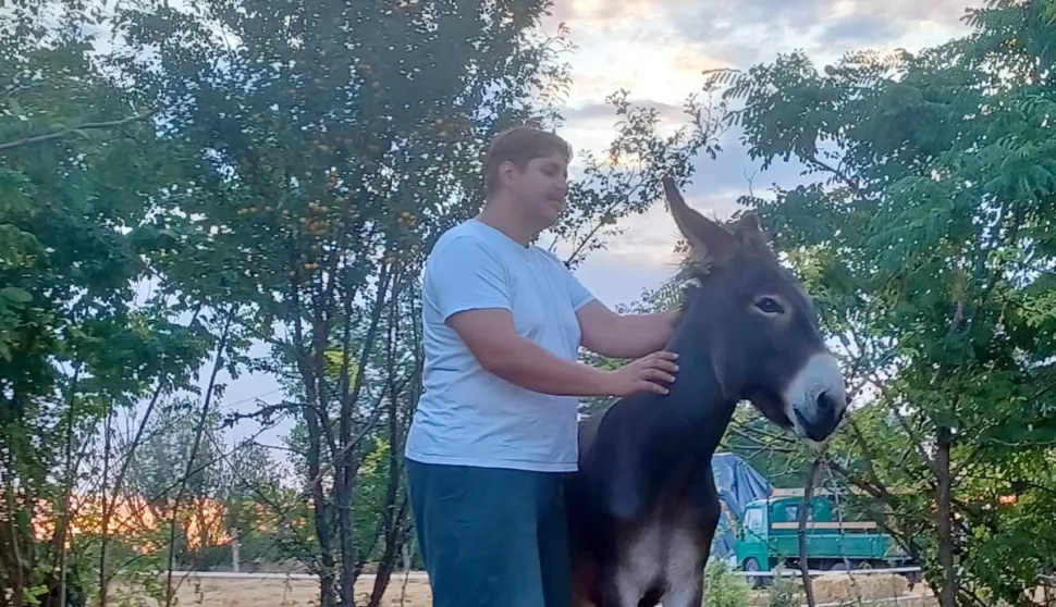 Magarac je baranjskim ovčarima bio nezamjenjiv. Nije zahtjevan, a tvrdoglav - kao i ljudi