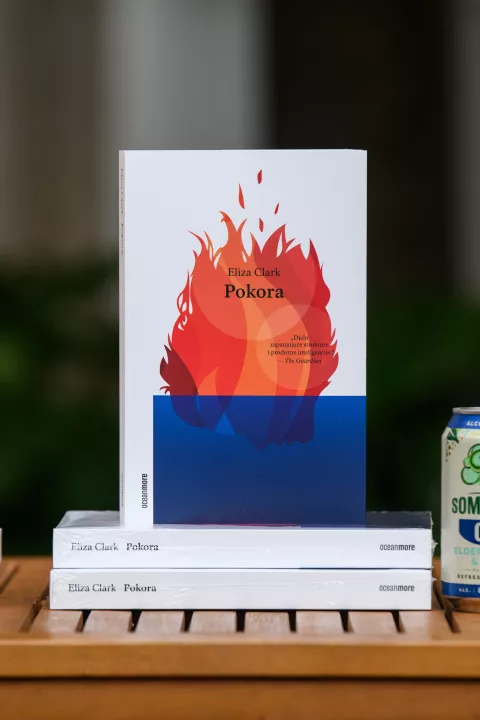 &ldquo;Pokora&rdquo; autorice Elize Clark: Roman o uspostavljenome sustavu vr&scaron;njačkoga nasilja