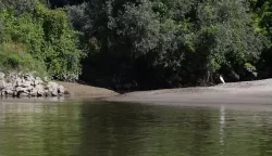 Osijek, 19. 07. 2025., rijeka Drava, Drava, vožnja čamcem, čamac, ljeto, prirodaSNIMIO BRUNO JOBST