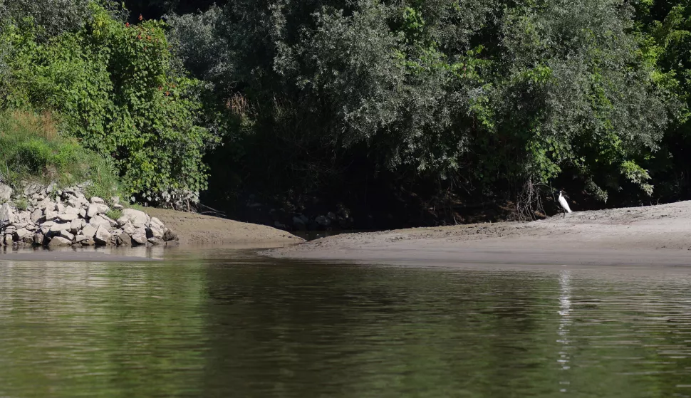 Osijek, 19. 07. 2025., rijeka Drava, Drava, vožnja čamcem, čamac, ljeto, prirodaSNIMIO BRUNO JOBST