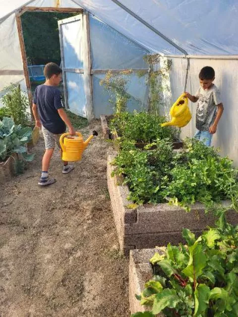 Jedinstveni program podrške udomiteljima i djeci u Osječko-baranjskoj županiji: Umjesto burnouta - predah od brige o udomljenoj djeci