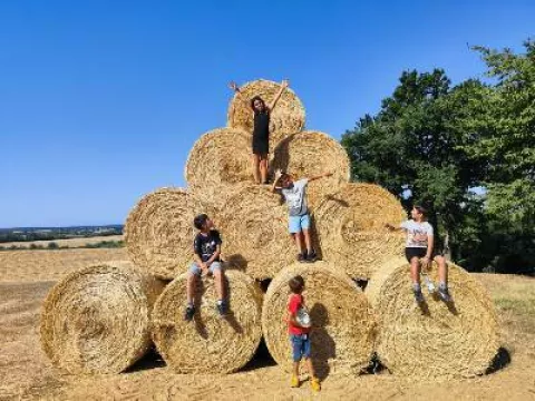 Jedinstveni program podrške udomiteljima i djeci u Osječko-baranjskoj županiji: Umjesto burnouta - predah od brige o udomljenoj djeci