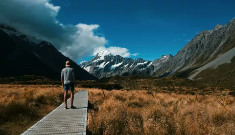 novi zeland