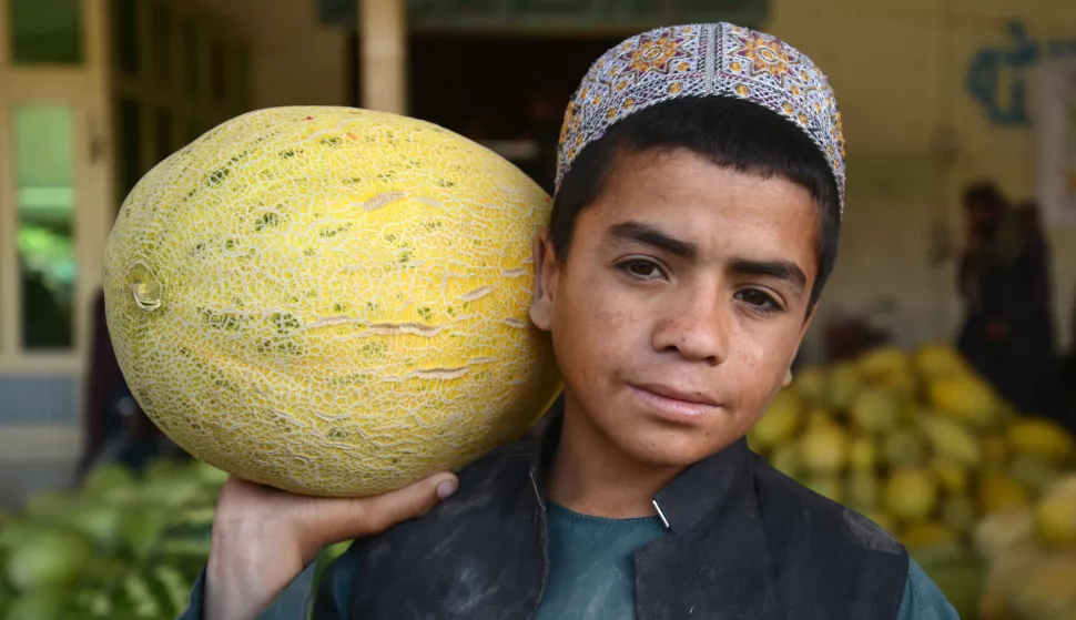 epa12210253 A boy carries a watermelon at a fruit and vegetable market in Kandahar, Afghanistan, 02 July 2025. Farmers and traders are concerned this season due to Pakistan's taxes on fresh Afghan fruits, which could impact exports and profits. The Federal Board of Revenue of Pakistan regularly updates customs tariffs. EPA/QUDRATULLAH RAZWAN