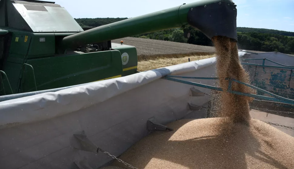 15.07.2020., Bjelovar - Na bilogorskim poljima pocela sezona zetve psenice. rPhoto: Damir Spehar/PIXSELL