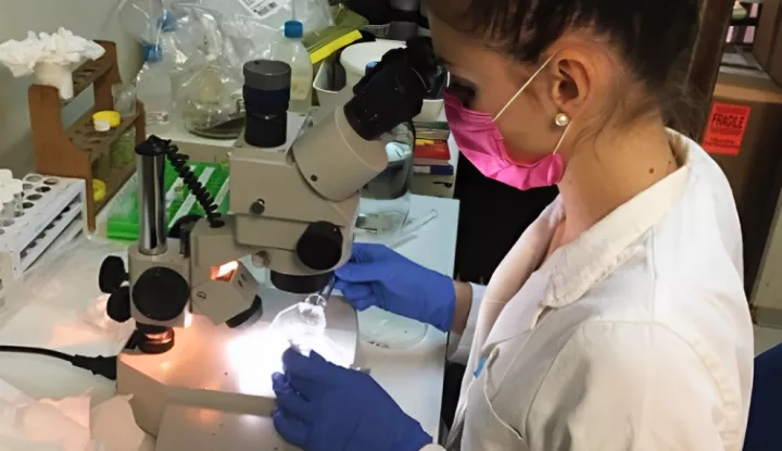 ZNANSTVENICE IRB-A OTKRILE GENE POTENCIJALNO OSJETLJIVE NA TOKSIČNE METALENametnik iz rijeke Krke pomaže u borbi protiv zagađenjasrpanj 2025.