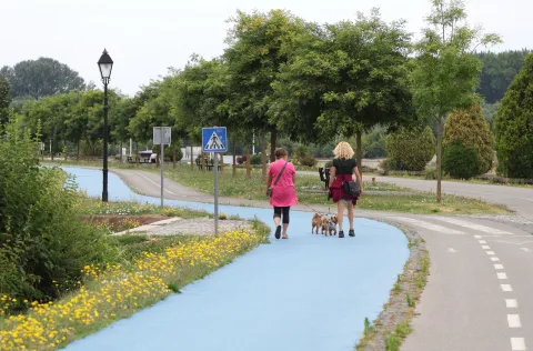 Osijek, 16. 07. 2025., slobodnjak, slobodnjaci, šetnja; psi; promenadaSNIMIO BRUNO JOBST