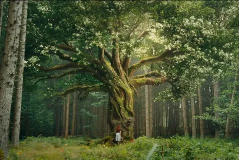 &ldquo;Djevojčica po imenu Willow&rdquo;: Dječji kinohit snimljen u maniri Harryja Pottera