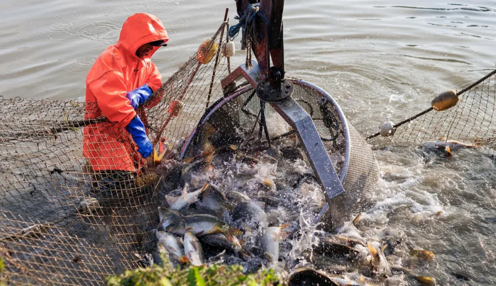 RIBNJAK RIBA PP ORAHOVICA