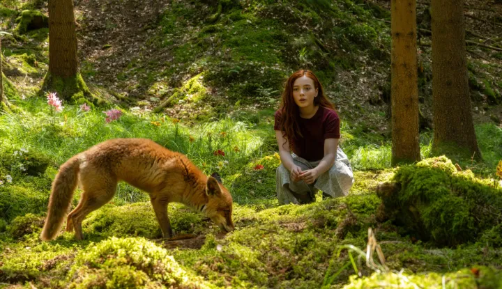  "DJEVOJČICA PO IMENU WILLOW"