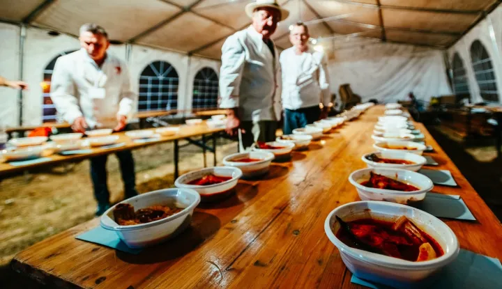 Slavonsko-baranjske fi&scaron;ijade nadzirat će - Odbor znalaca