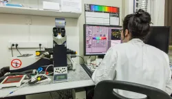 institut ruđer bošković centar za konfokalnu mikroskopiju