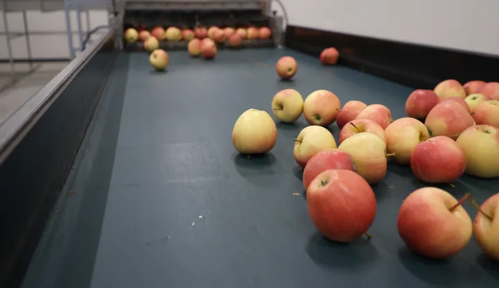 Osijek, 17. 04. 2025., RDC, Regionalni centar za voće i povrće, obilazakSNIMIO BRUNO JOBST