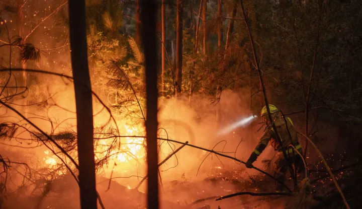 epaselect epa12287452 A firefighter works to extinguish an active forest fire in Pontevedra, Spain, 06 August 2025. EPA/Brais Lorenzo