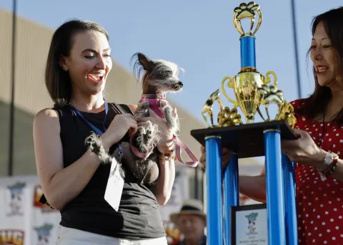 Poppy, 2025 World's Ugliest Dog Contest in California