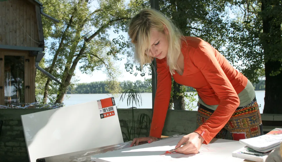 BATINA, 29. 08. 2010, BATINA, ZELENI OTOK, BARANJSKA UMJETNIČKA KOLONIJA...snimio GOJKO MITIĆ