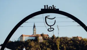 Ovogodišnju Iločku berbu grožđa posvećuju tradiciji pudarine