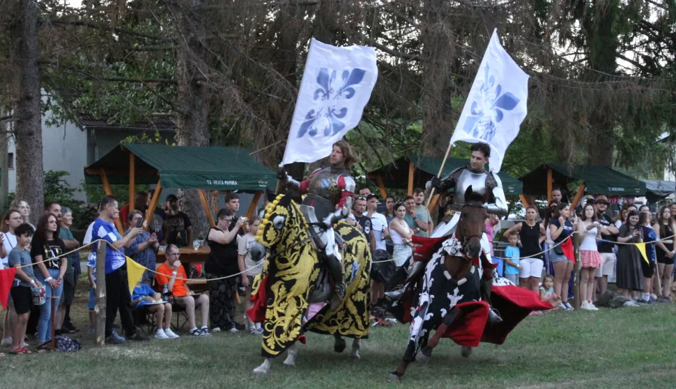 VITEŠKI TURNIR - Vitezovi Agentura Hector iz SlovačkeSNIMIO: VLADIMIR GRGURIĆ