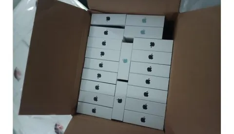 Uz zamrznute proizvode u kamionu prevozio i 384 mobitela