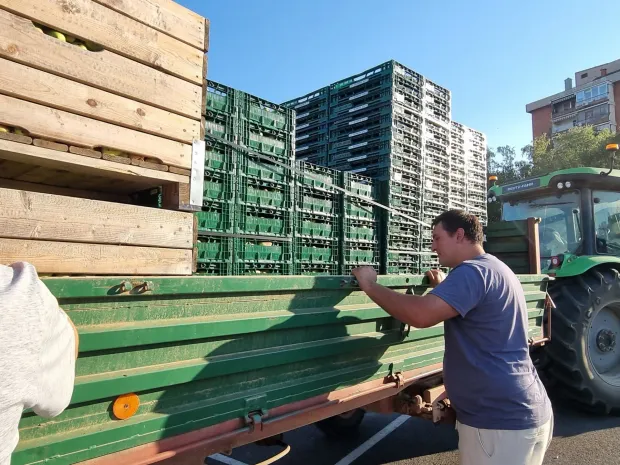 voće voćari ilustracija kruške jabuke m.flego