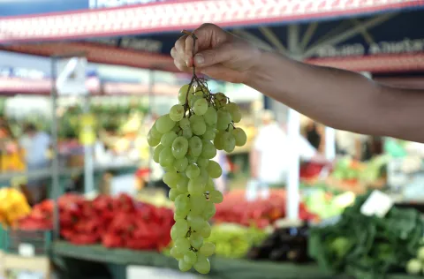 Osijek, 12. 08. 2025., Glavna tržnica, pija, ponuda, ljeto, cijene, ponuda, grožđeSNIMIO BRUNO JOBST
