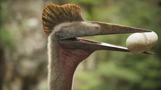 Walking with Dinosaurs/&Scaron;etnja s Dinosaurima (2025)