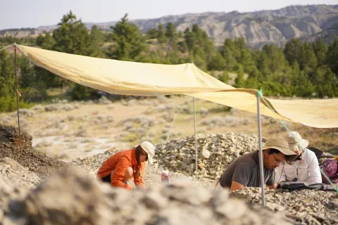 Walking with Dinosaurs/Šetnja s Dinosaurima (2025)