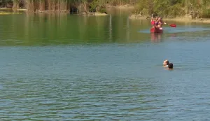 bizovački bajer bizovac