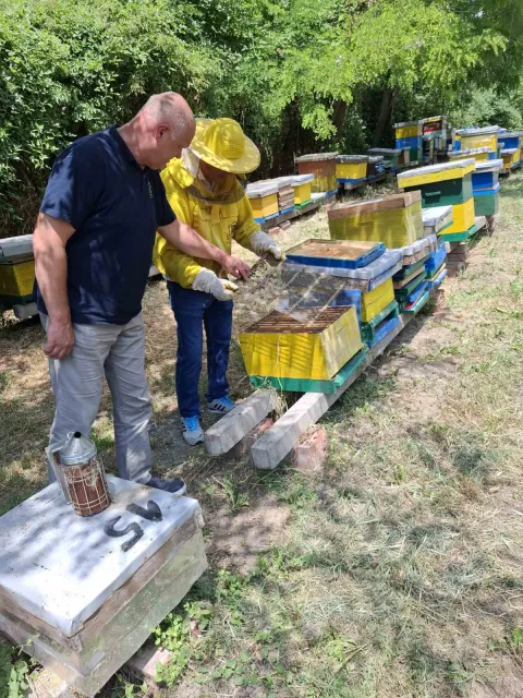 Ministarstvo poljoprivrede, šumarstva i ribarstva izvjestilo je kako je u Narodnim novinama objavljen Pravilnik o medukolovoz 2025.