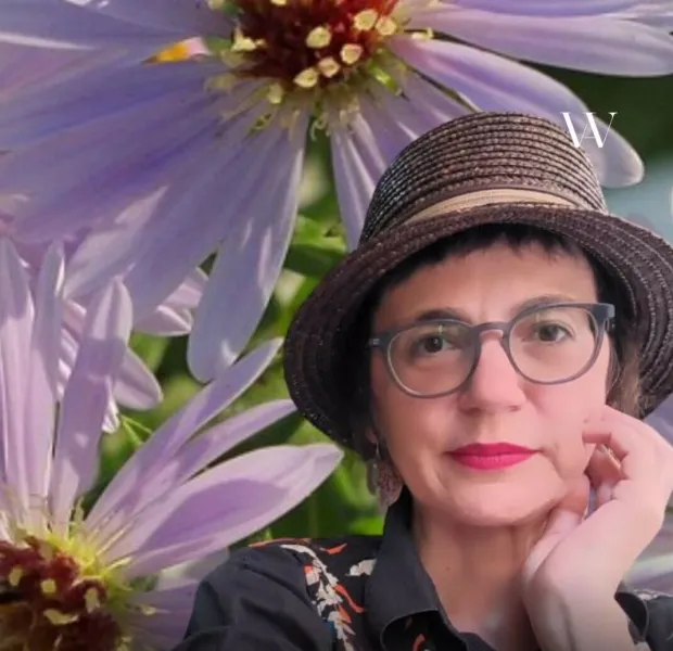 Roman o usamljenosti, nesreći, bolesti, tuzi, malograđanštini