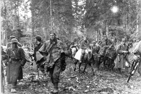 MAGAZIN Bitka na Sutjesci – Wikipedija/Википедија