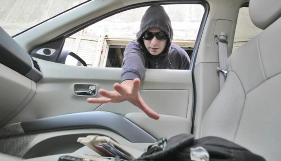 kradja223Krađe su najčeći oblik kriminalaS. RADOLOVIĆ------crna2 st