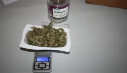 Na osječkom području zaplijenjena marihuana, ilustracija, policija