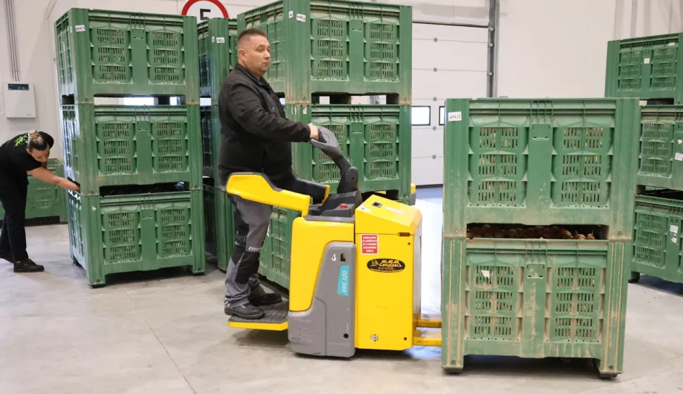  RDC, jabuke, treća sezona, kolovoz 2025.