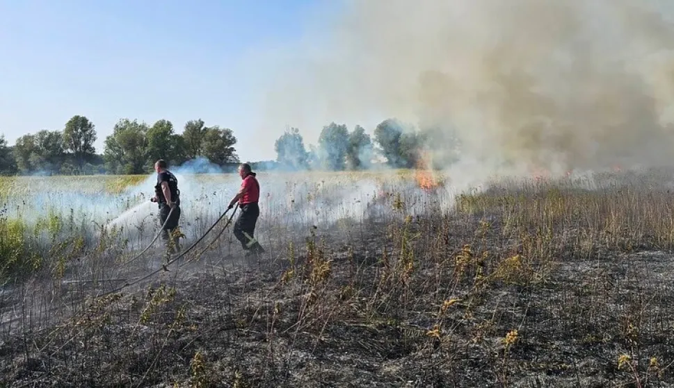 Vatrogasci spriječili širenje požara na Kopački rit