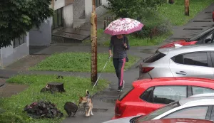 Osijek, 11. 06. 2024, kisa, kisobran,slobodnjak, slobodnjaciSNIMIO BRUNO JOBST