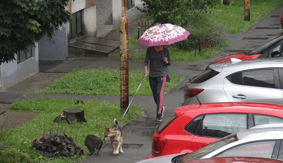 Osijek, 11. 06. 2024, kisa, kisobran,slobodnjak, slobodnjaciSNIMIO BRUNO JOBST