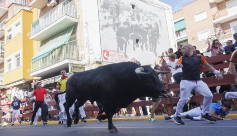 epa12335804 Runners are chased by bulls during the seventh running of the bulls in San Sebastian de los Reyes, Madrid, Spain, 30 August 2025. Eleven people were injured during the event. EPA/SERGIO PEREZ