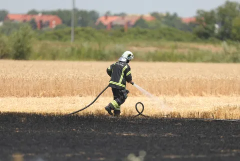 05.07.2025., Osijek - Pozar u polju psenice u sklopu Sportskog aedroma Cepin. Photo: David Jerkovic/PIXSELL