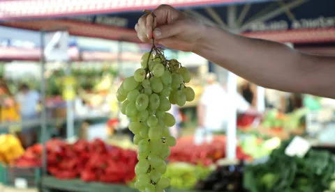 Osijek, 12. 08. 2025., Glavna tržnica, pija, ponuda, ljeto, cijene, ponuda, grožđeSNIMIO BRUNO JOBST