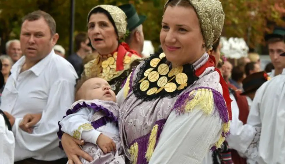 slavonija...vinkovci...17.09.2017.52. vinkovacke jeseni; mimohod 80 folklornih skupina sredistem grada, te 30-tak svatovskih zaprega, 50 konjanika i na kraju najvece kolo...foto Gordan Panić