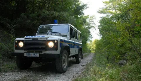 Policiji je prijavljena krađa drva, počinjena u prvoj polovici mjeseca veljače u mjestu Mala Solina na glinskom području, u kojoj je nepoznati počinitelj posjekao i ukrao devet stabala hrasta vlasništvo 53-godišnjakinje. Protiv počinitelja, za kojim se traga, podnijeta je kaznena prijava Općinskom državnom odvjetništvu u Sisku. Traga se i za počiniteljem koji je u razdoblju od 4. do 14. veljače, u šumi u mjestu Cerje Letovaničko, općina Lekenik, ukrao 10 stabala graba, oštetivši 62-godišnjaka za oko 700 eura.