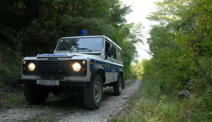 Policiji je prijavljena krađa drva, počinjena u prvoj polovici mjeseca veljače u mjestu Mala Solina na glinskom području, u kojoj je nepoznati počinitelj posjekao i ukrao devet stabala hrasta vlasništvo 53-godišnjakinje. Protiv počinitelja, za kojim se traga, podnijeta je kaznena prijava Općinskom državnom odvjetništvu u Sisku. Traga se i za počiniteljem koji je u razdoblju od 4. do 14. veljače, u šumi u mjestu Cerje Letovaničko, općina Lekenik, ukrao 10 stabala graba, oštetivši 62-godišnjaka za oko 700 eura.