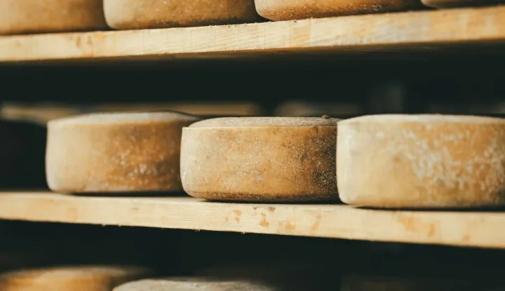 Sir je za mene više od namirnice, više od hrane, to je priča o povijesti i tradiciji