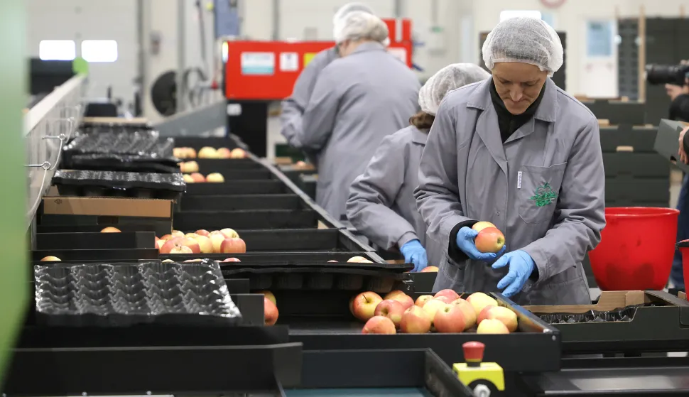Osijek, 17. 04. 2025., RDC, Regionalni centar za voće i povrće, obilazakSNIMIO BRUNO JOBST