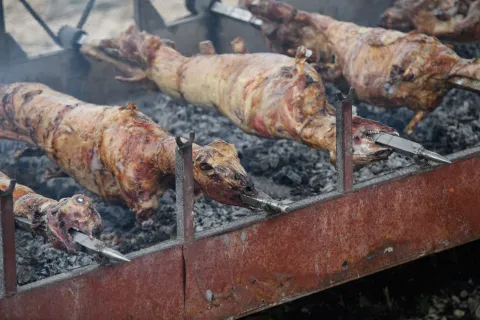 BENKOVAC - 10.09.2025 - ANKETA - Anketa na Benkovačkom sajmu o festivalu "Nosi se", zabraniteljima i slično