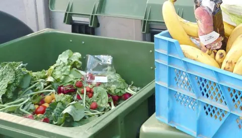 ?smeće hrana bacanje hrane otpad------kolor 2x nvoosti