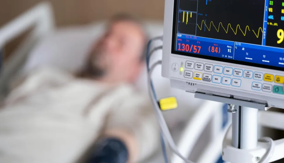 MAGAZIN PEXELSPHOTO BY Engin Akyurt