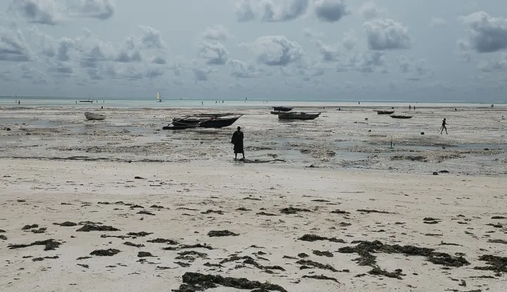 Zanzibar - Umjesto razglednice - Gabrijela IvankovićPrivatni album